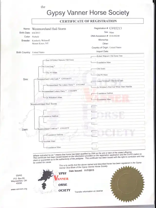 Registration Pedigree - Media (1766)