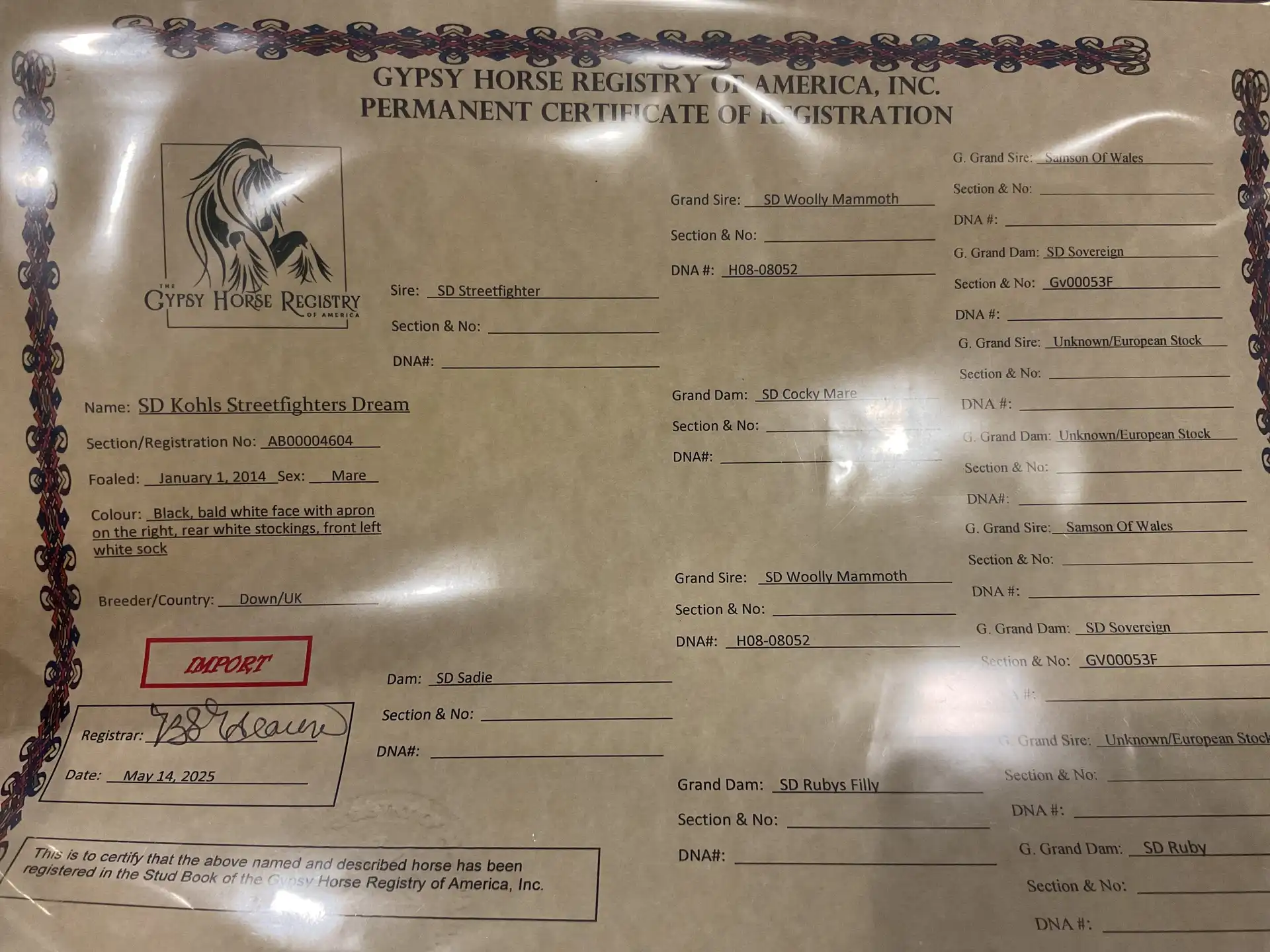 Registration Pedigree - Media (1908)