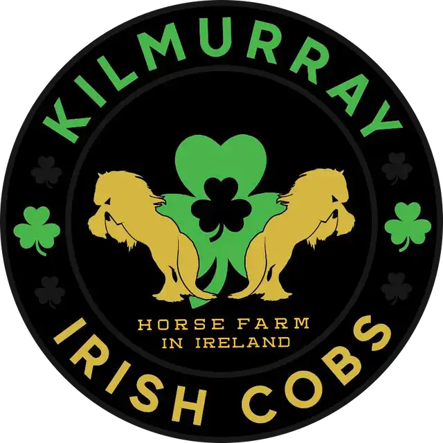 Kilmurray Irish Cobs  - Media (2547)