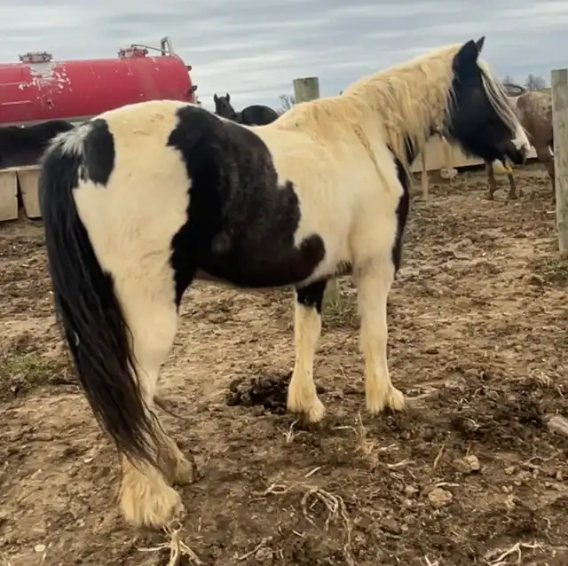 JTRW Sundance - Media (Unknown)