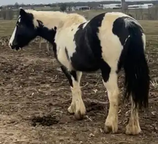 JTRW Sundance - Media (Unknown)