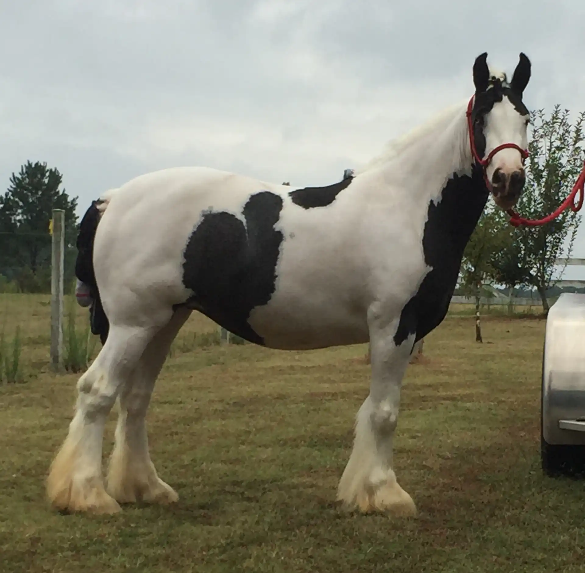 Westmoreland Hail Storm - Media (Unknown)