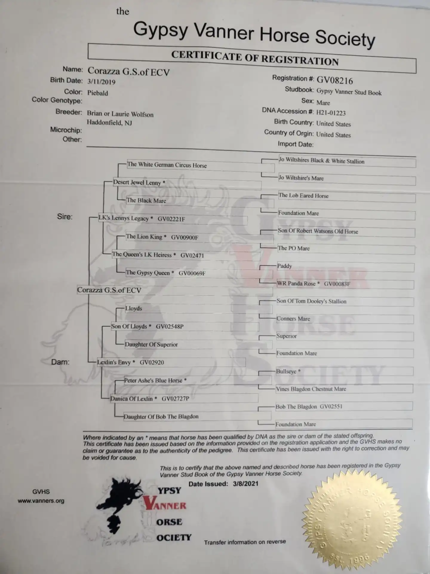 Registration Pedigree - Media (2197)