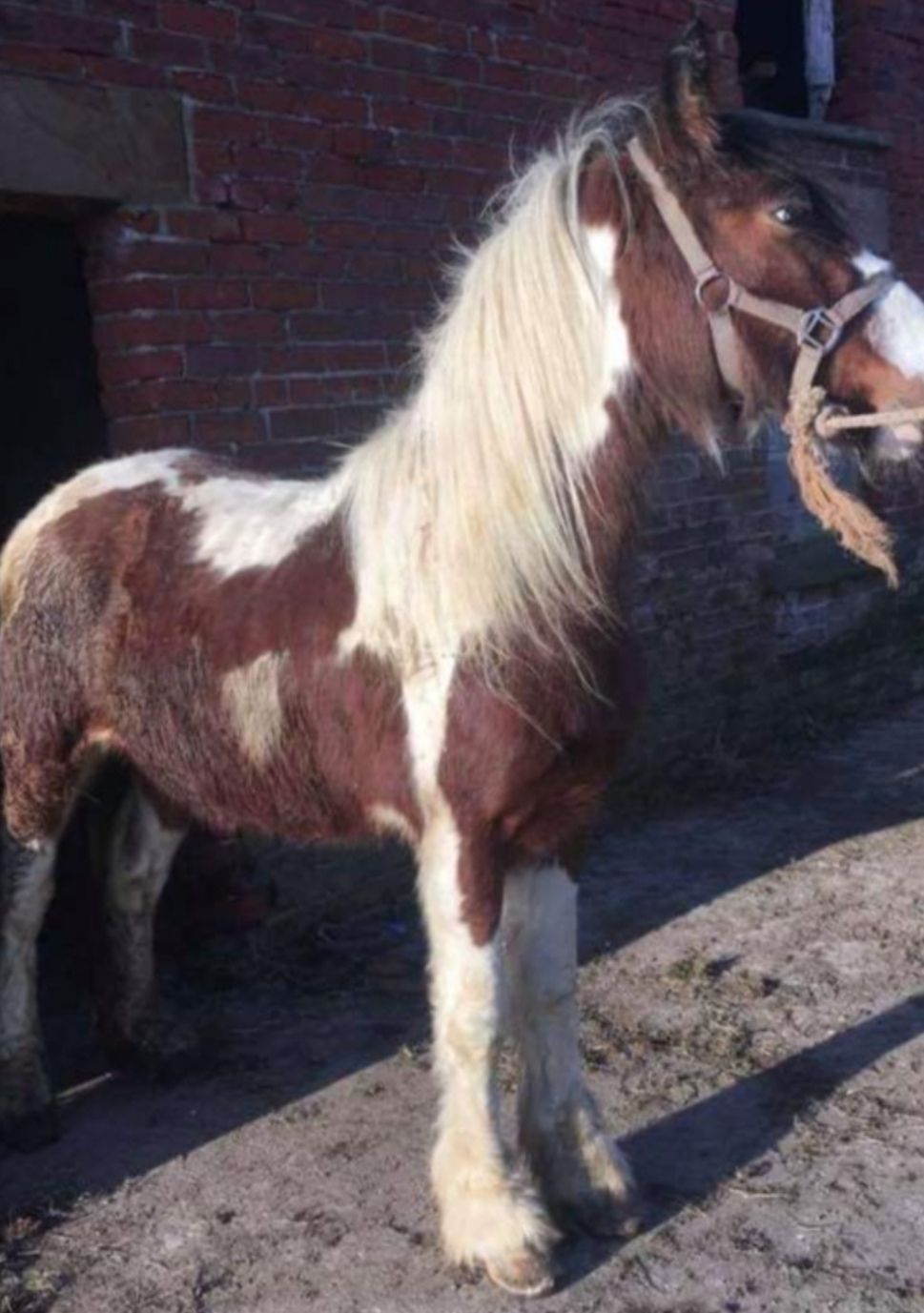 Hugo - Media (Unknown)