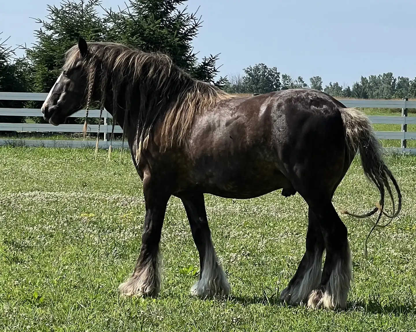 Coco - Media (Unknown)