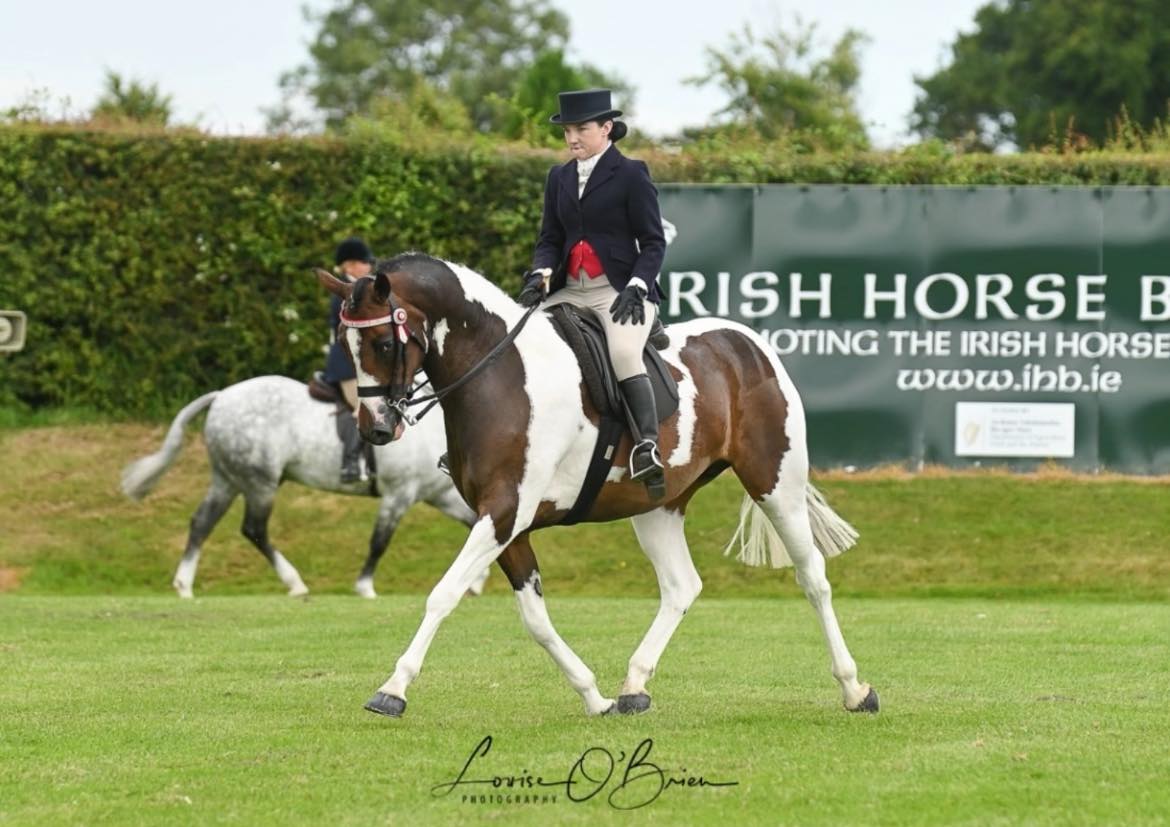 Hudsons Horses - Media (592)