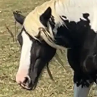 JTRW Sundance - Media (Unknown)