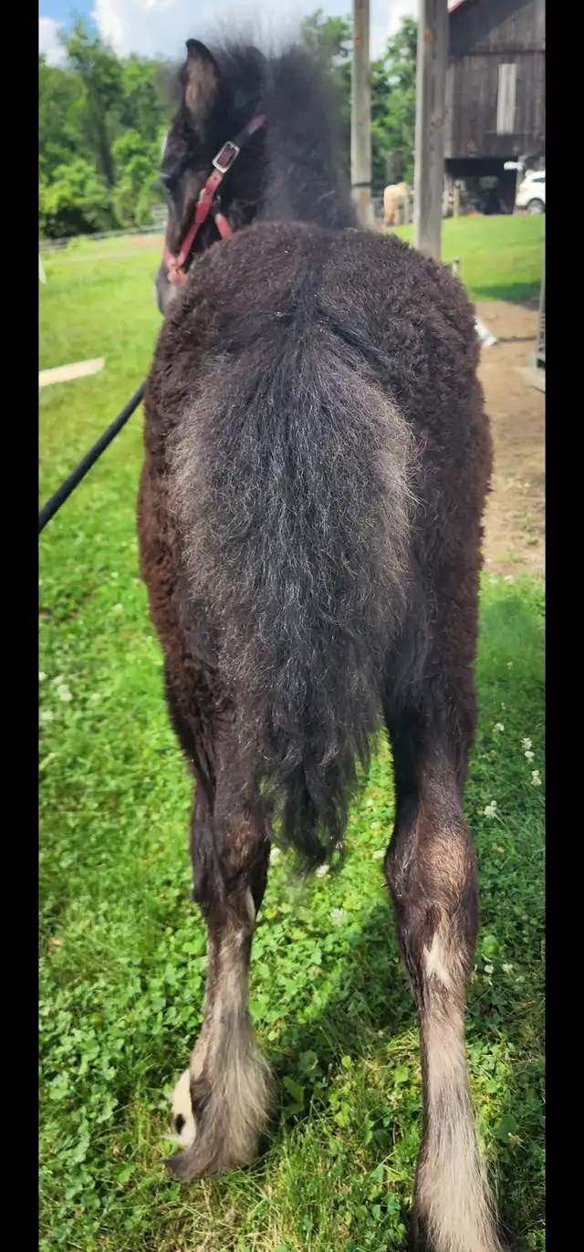 Bex N Snow - Media (Unknown)