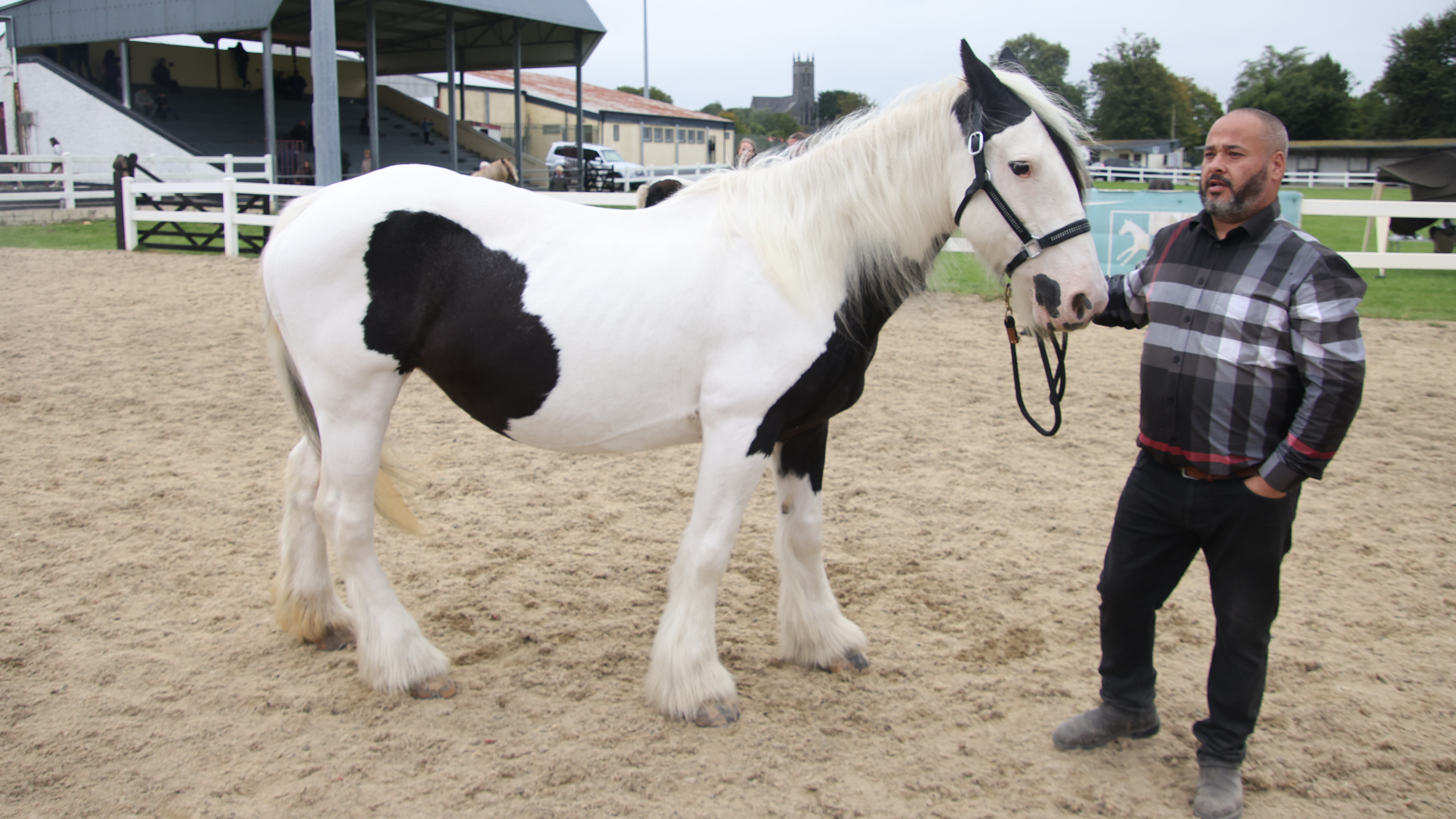 Queen - Media (Unknown)