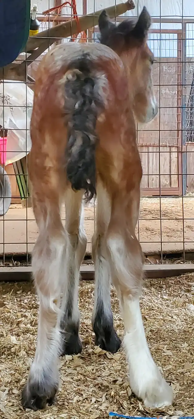 RsF Welcome to the Smoke Show - Media (Unknown)