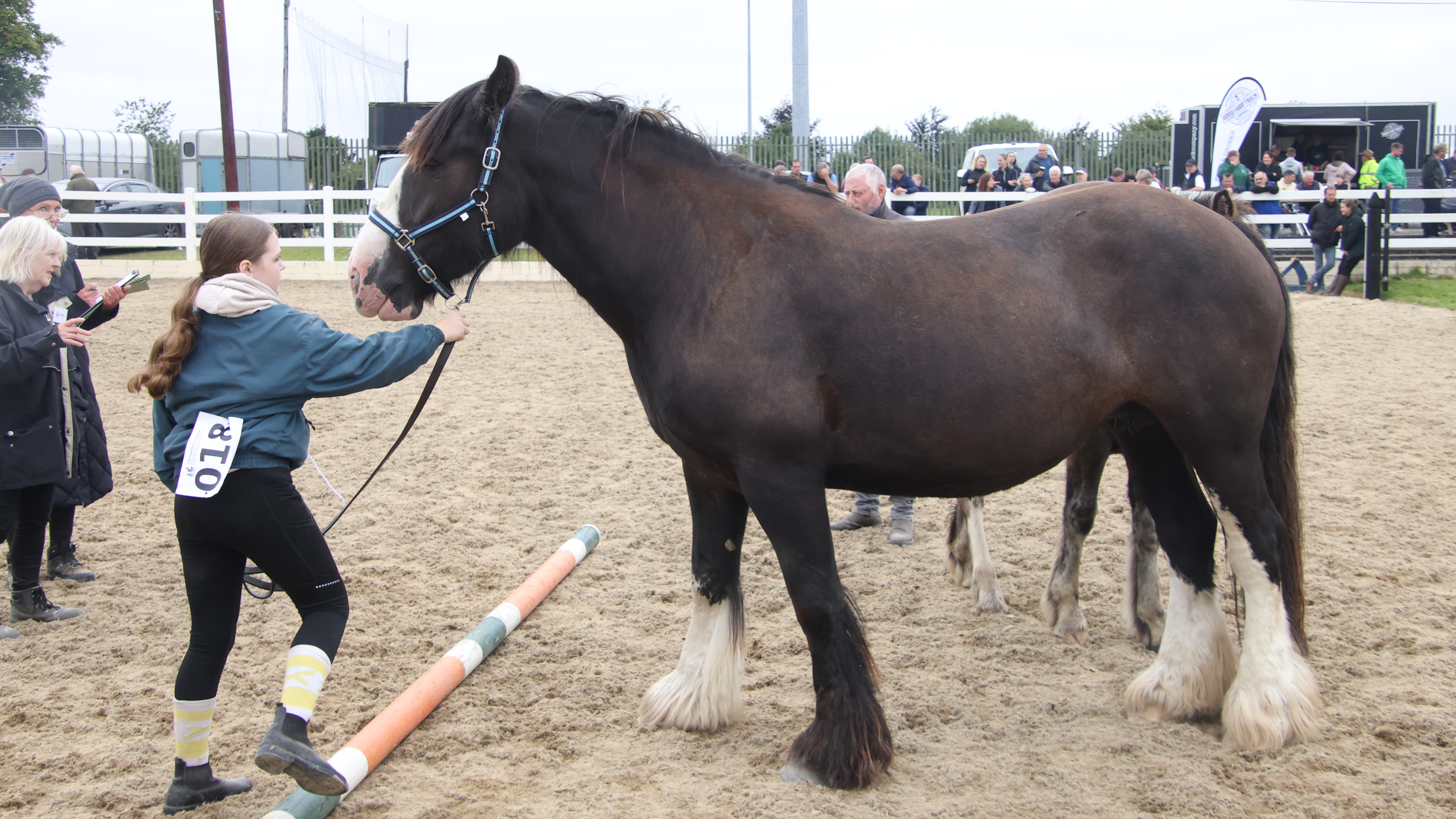 Betty - Media (Unknown)