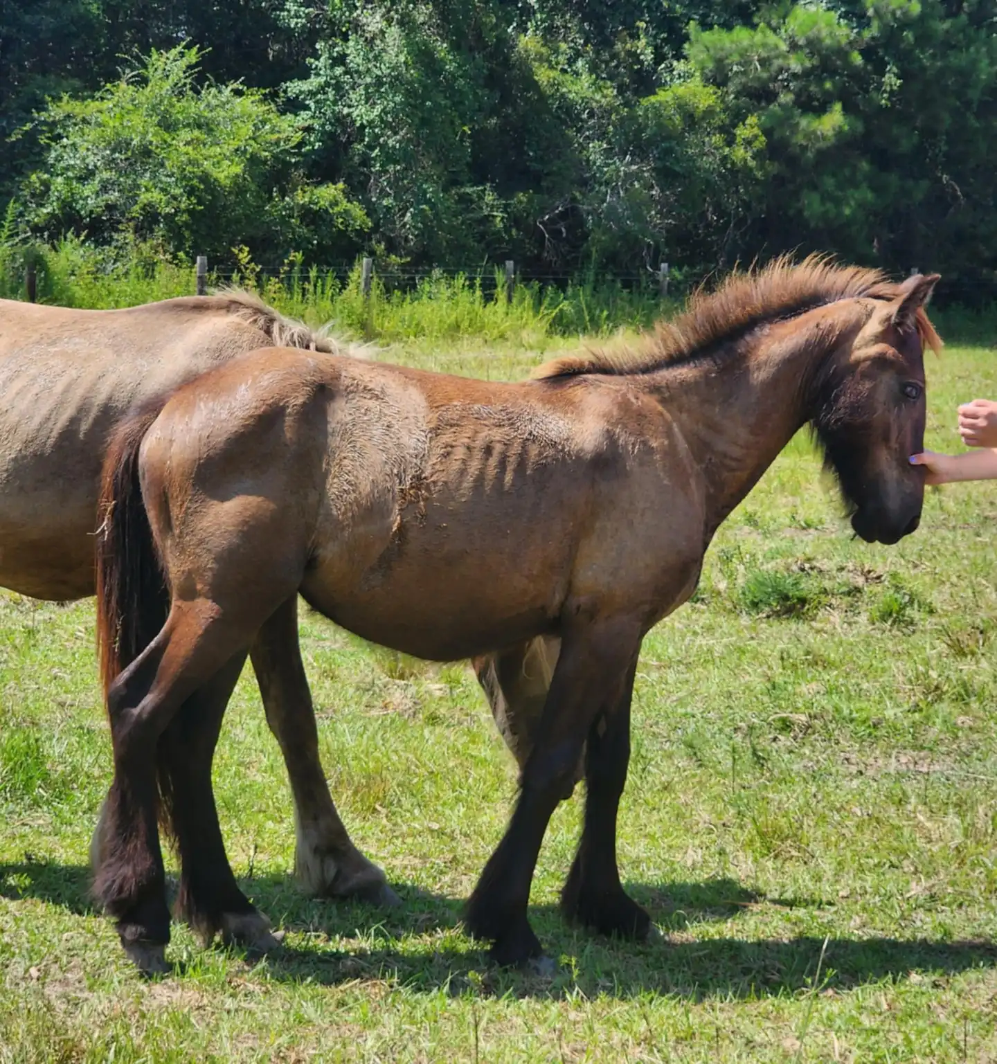G.S. Zatara - Media (Unknown)