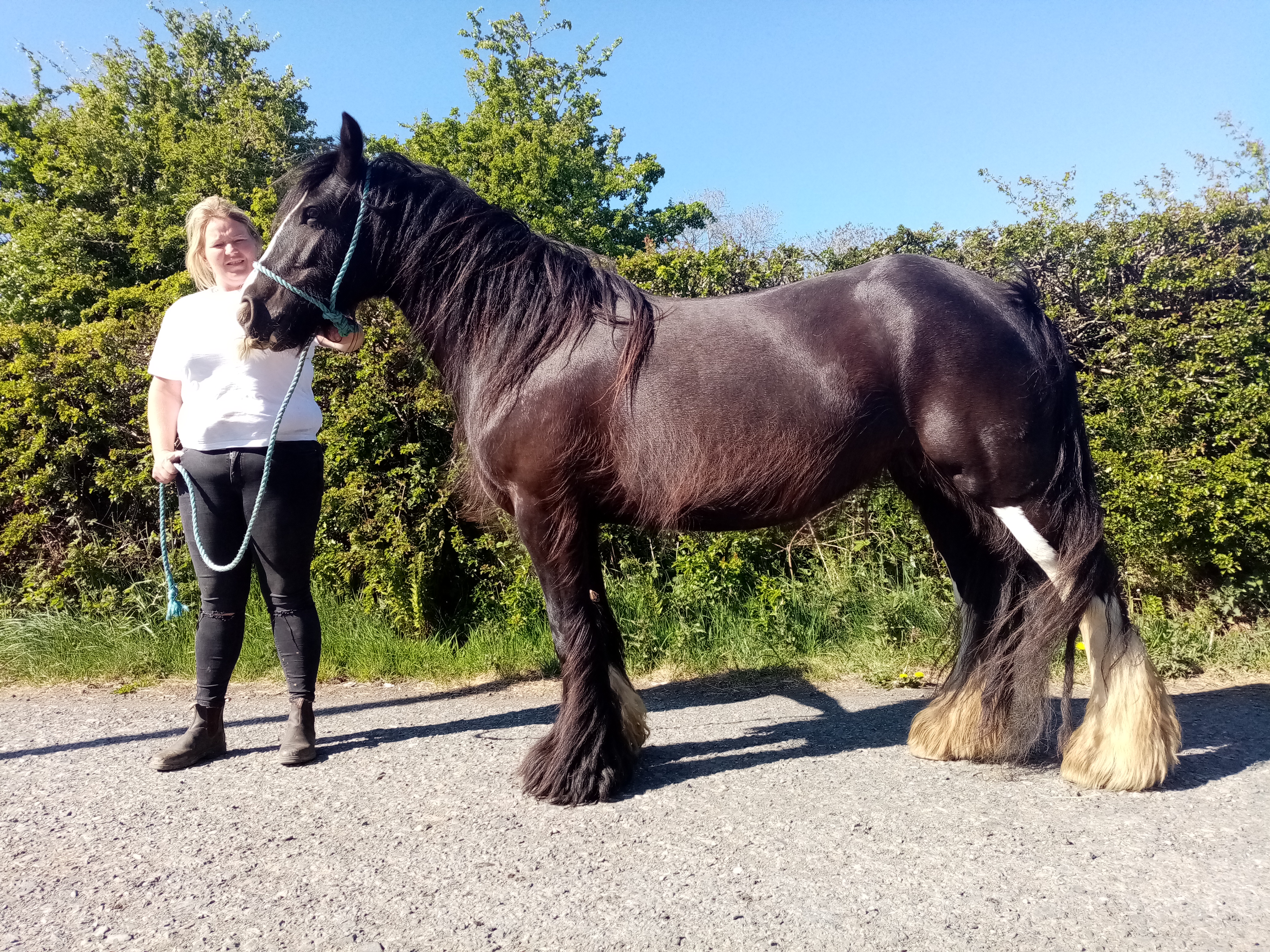 Mary - Media (Unknown)