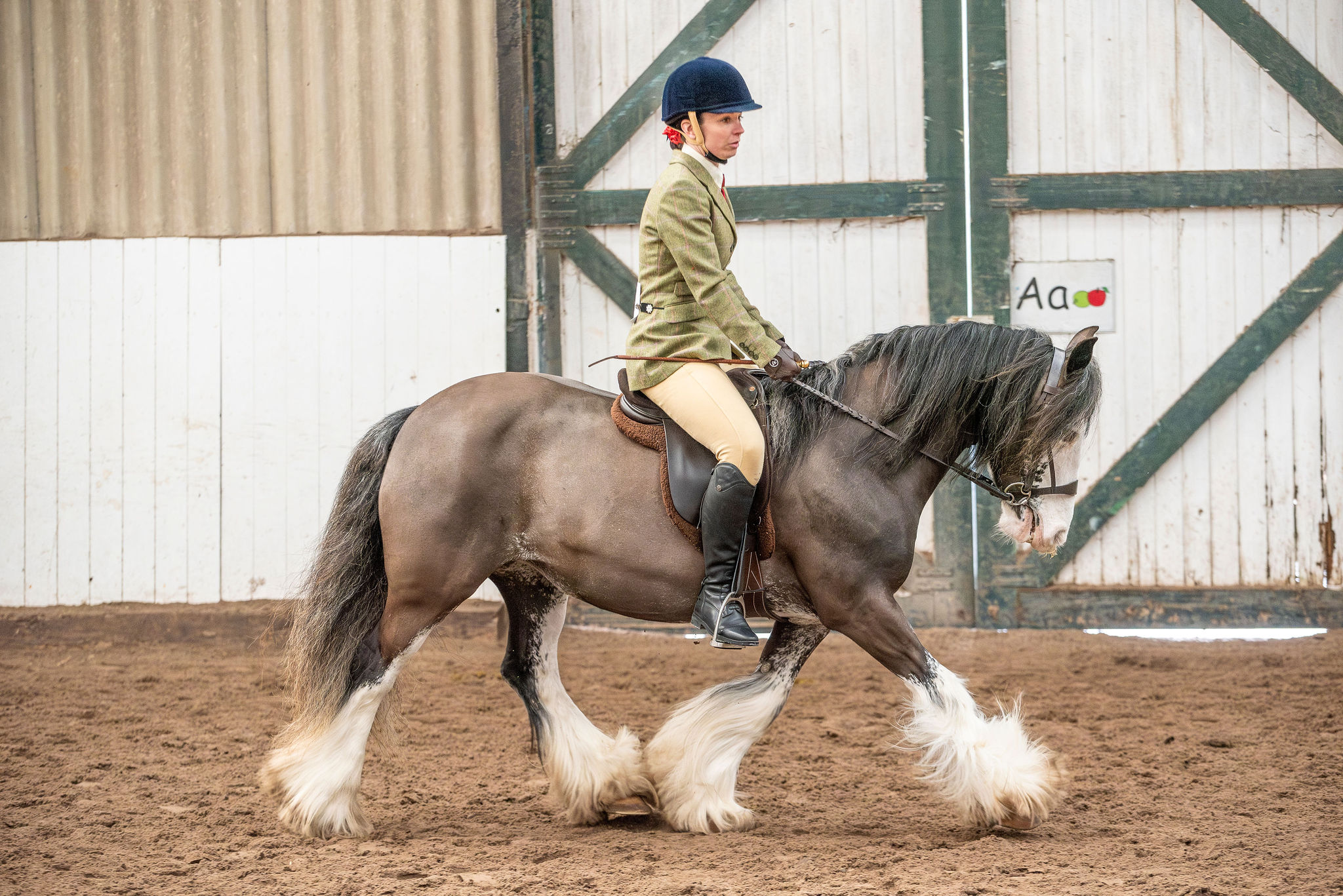 Mollie Moonshine - Media (Unknown)