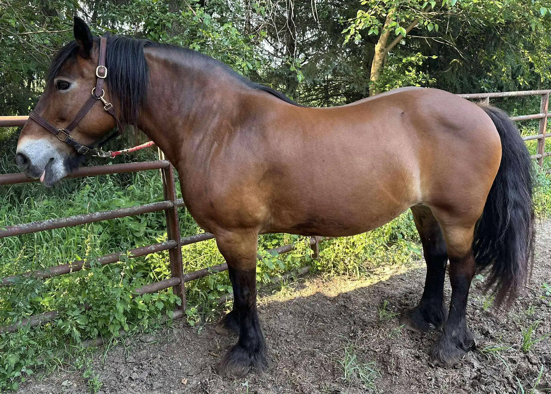 Carly Jo - Media (Unknown)