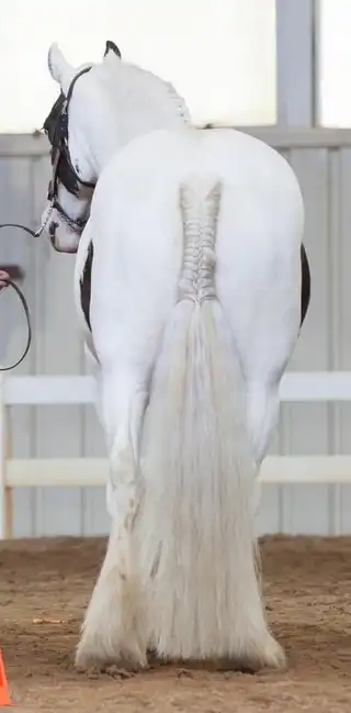 Feathered Meadows Legacy - Media (Unknown)