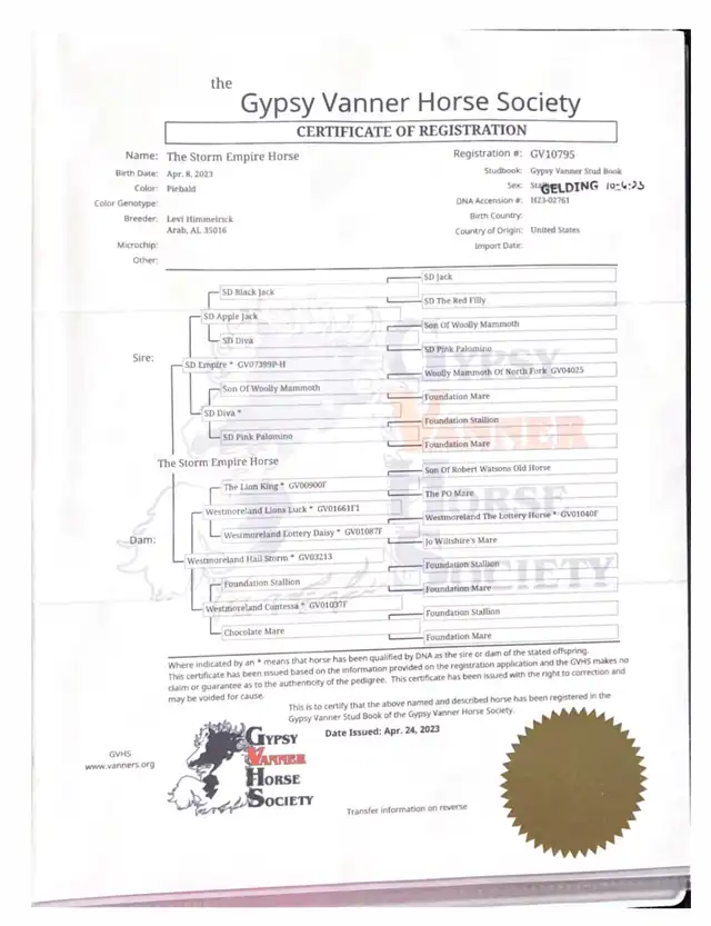 Registration Pedigree - Media (1749)