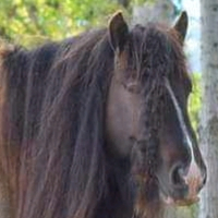 Silver Magic - Media (Unknown)