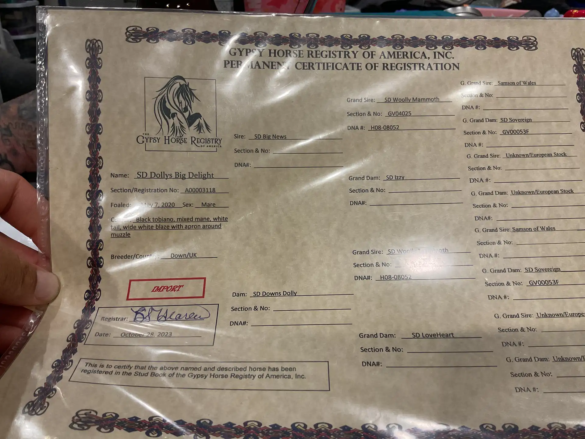 Registration Pedigree - Media (1896)