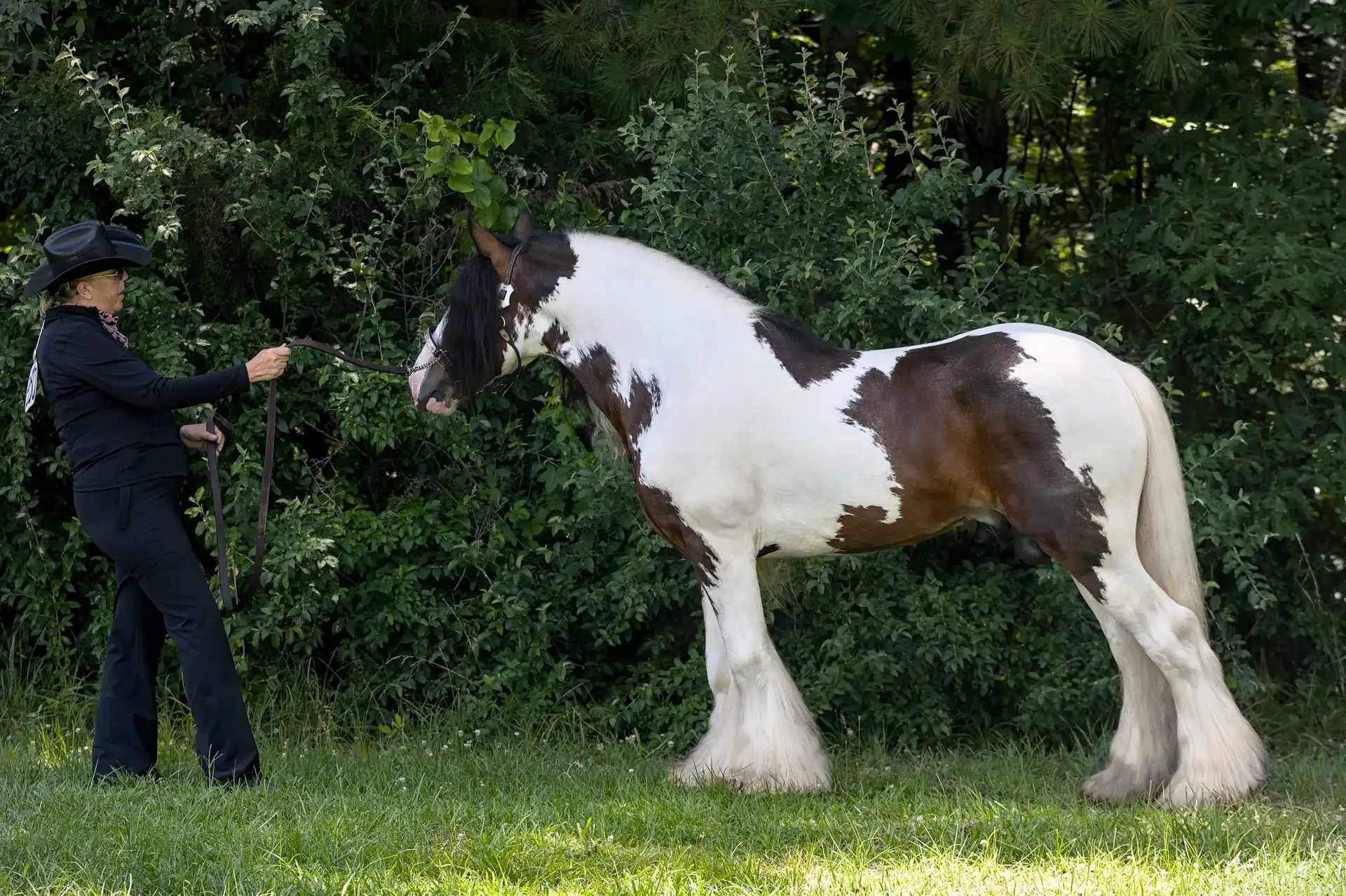 Fire Away - Media (Unknown)