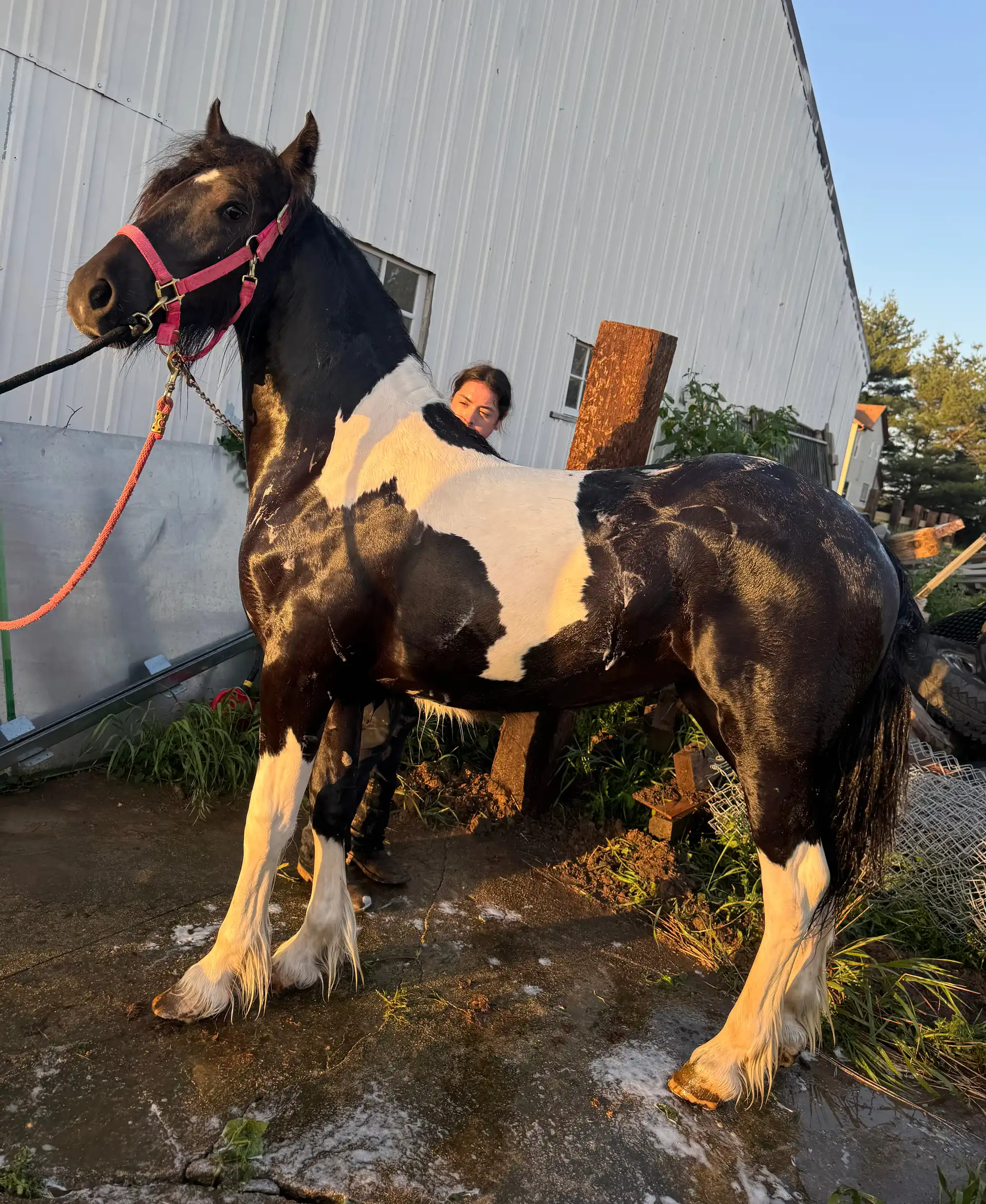 Belle Jl - Media (Unknown)