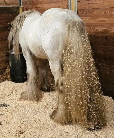 King of the South - Media (Unknown)