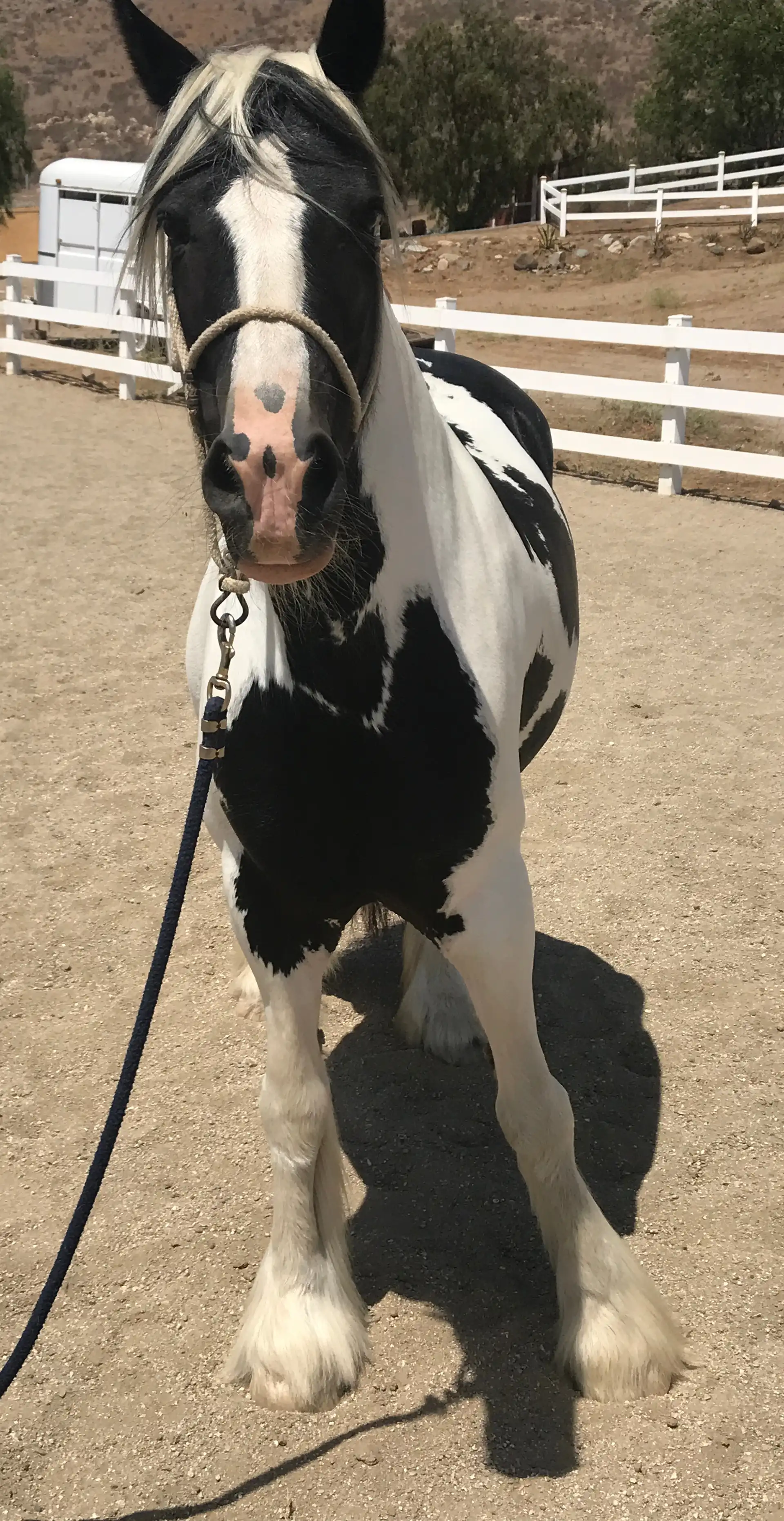 Kb Charlie Rose - Media (Unknown)