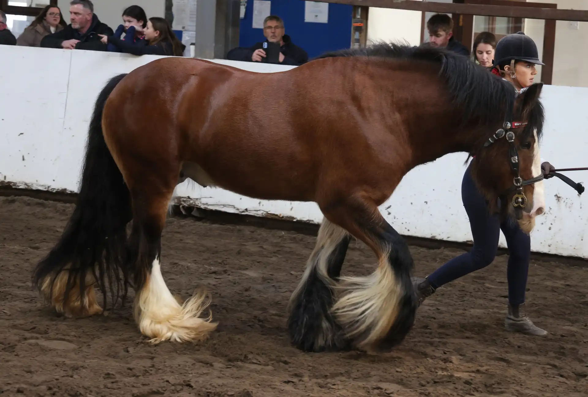 Junior, right side