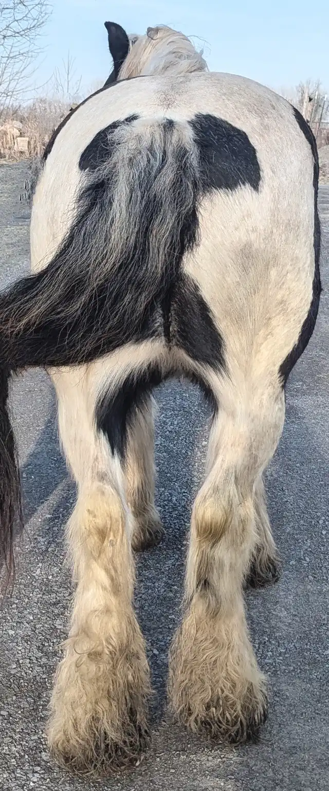 Lena - Media (Unknown)