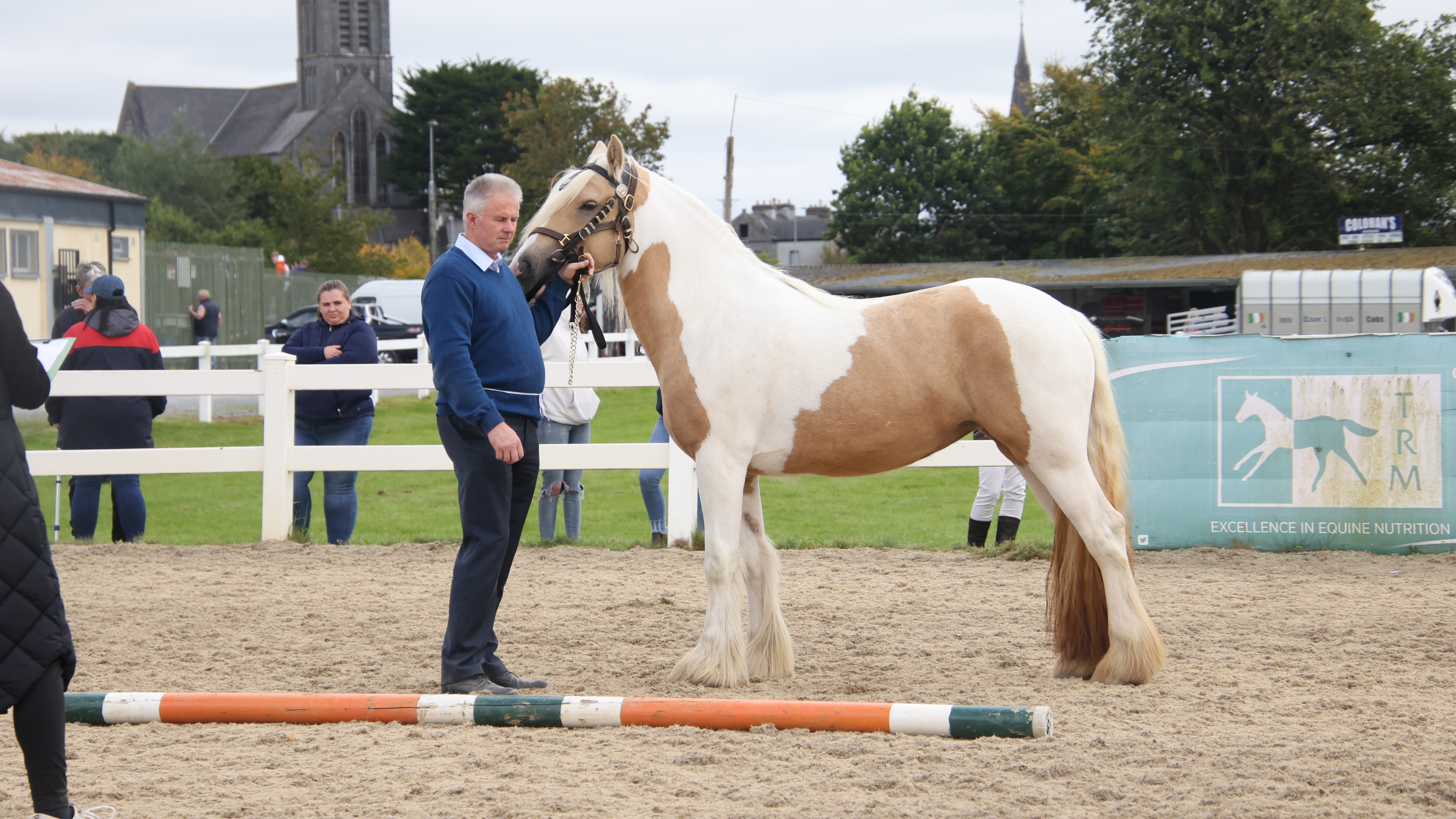 Rita Ora - Media (Unknown)