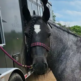 Gitt Made With Amazing Grace - Media (Unknown)