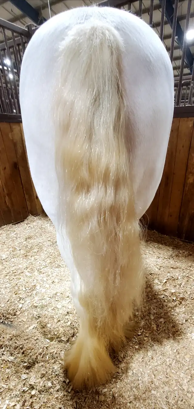 TR Forbidden Fruit - Media (Unknown)