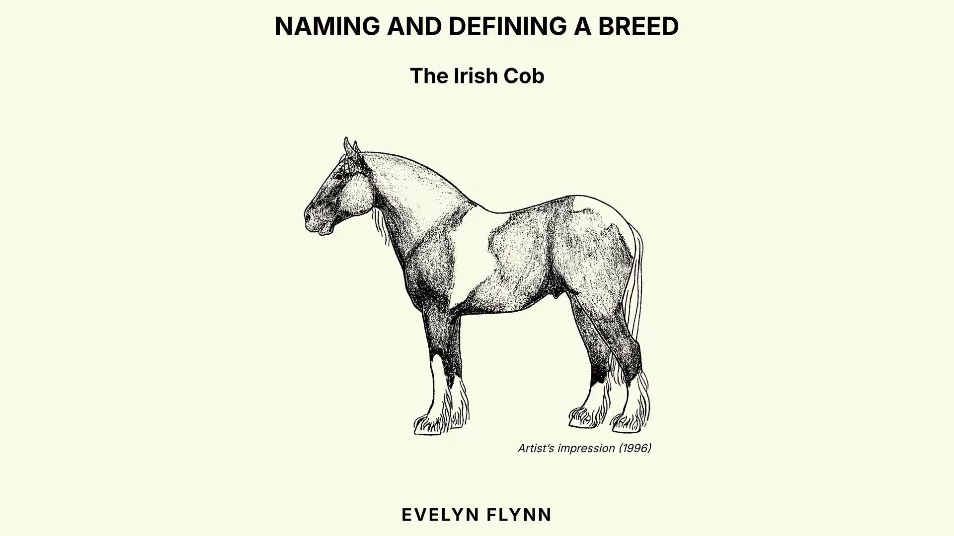Naming and Defining a Breed – The Irish Cob - Media (1047)