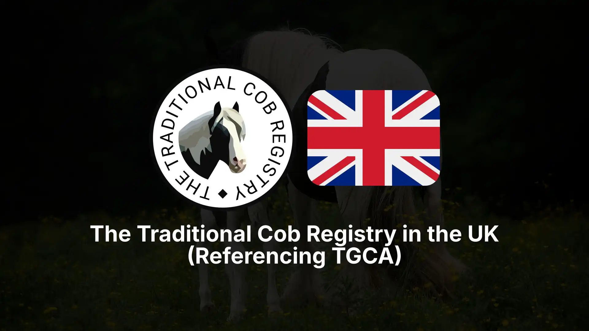 The Traditional Cob Registry in the UK (Referencing TGCA) - Media (1521)
