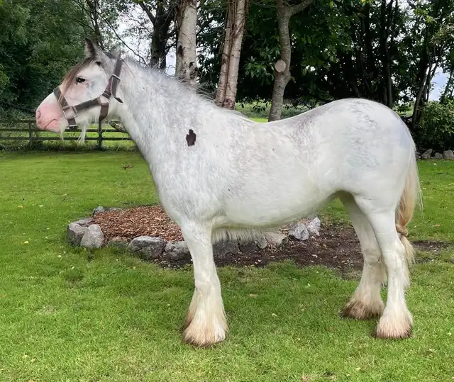 Cococubana Girl - Media (Unknown)