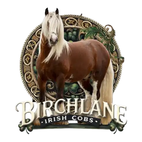 Birchlane Irish Cobs