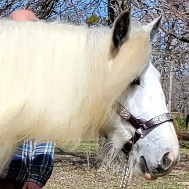 RsF Rsf Louis Vuittons Sophia - Media (Unknown)