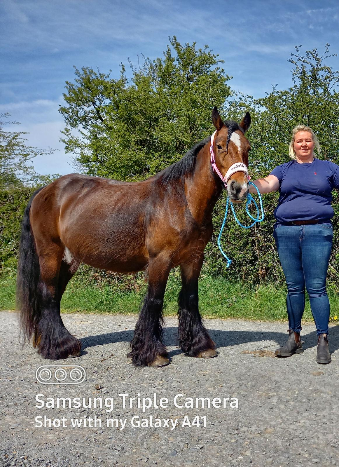 Mollys - Media (Unknown)