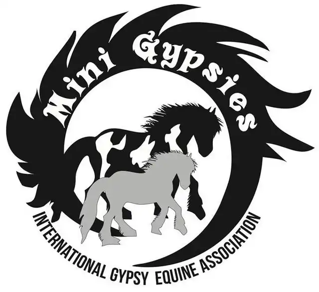 The International Gypsy Equine Association - Media (1469)
