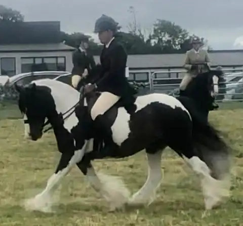 Mr Woo - Media (Unknown)