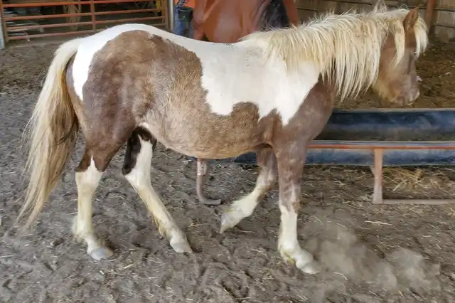 Kandee’s First Baby Girl - Media (Unknown)