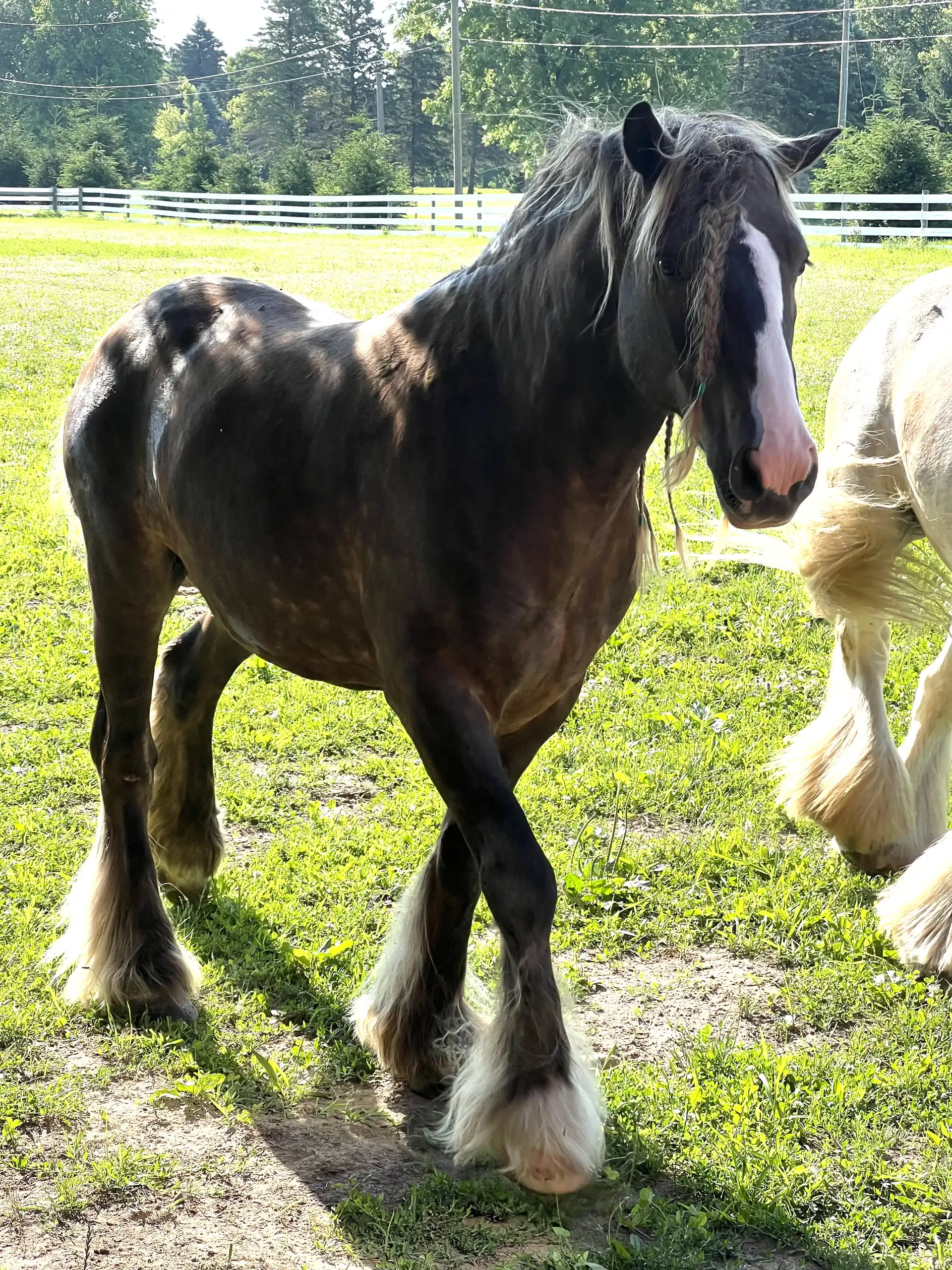 Coco - Media (Unknown)