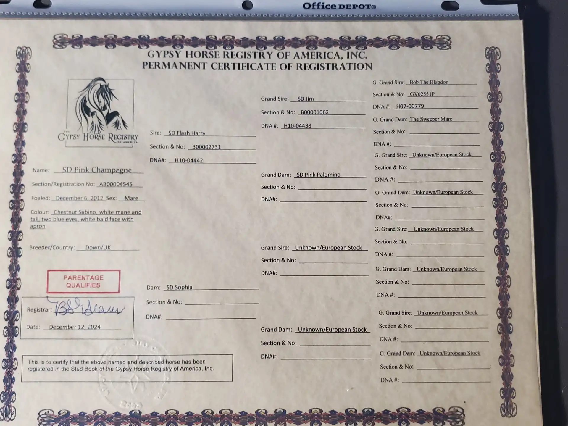Registration Pedigree - Media (1789)