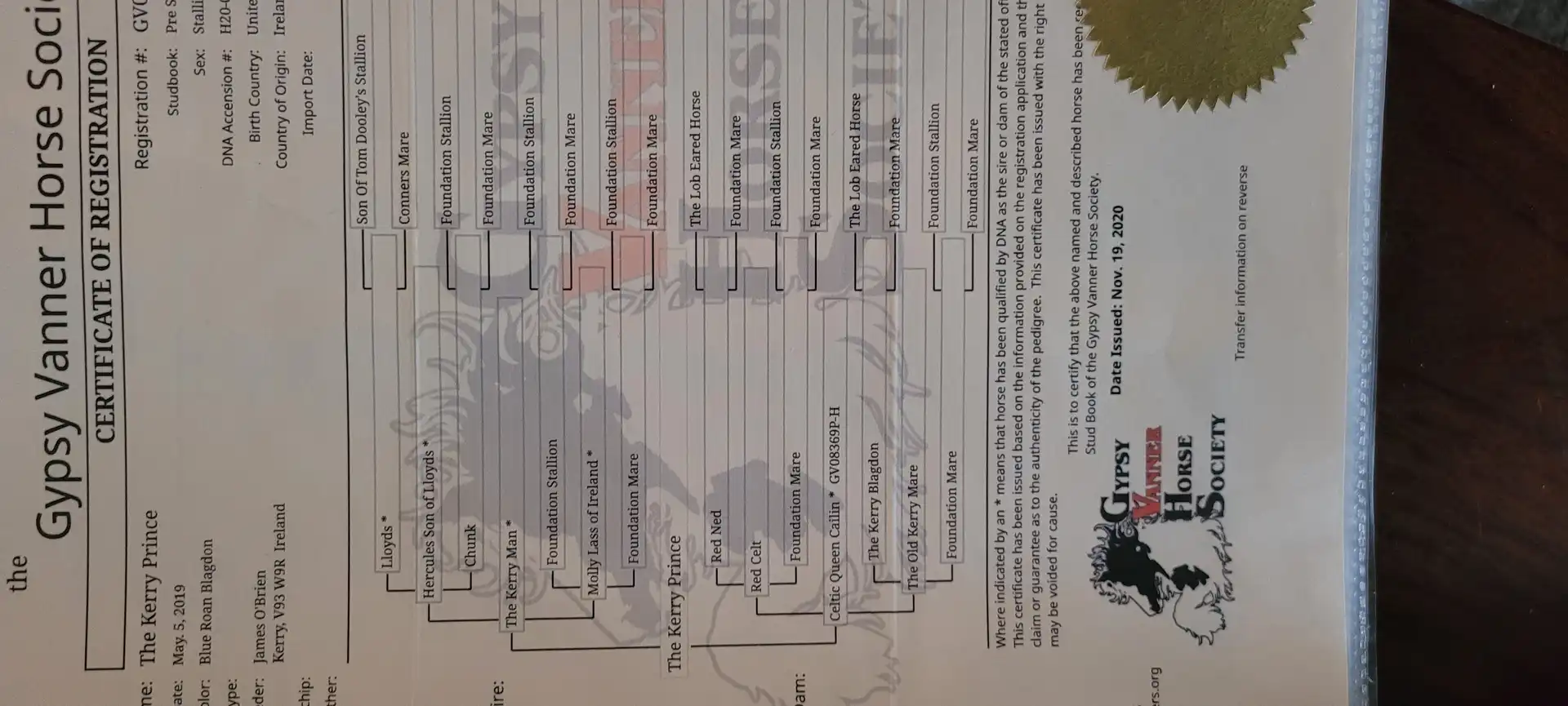 Registration Pedigree - Media (1994)