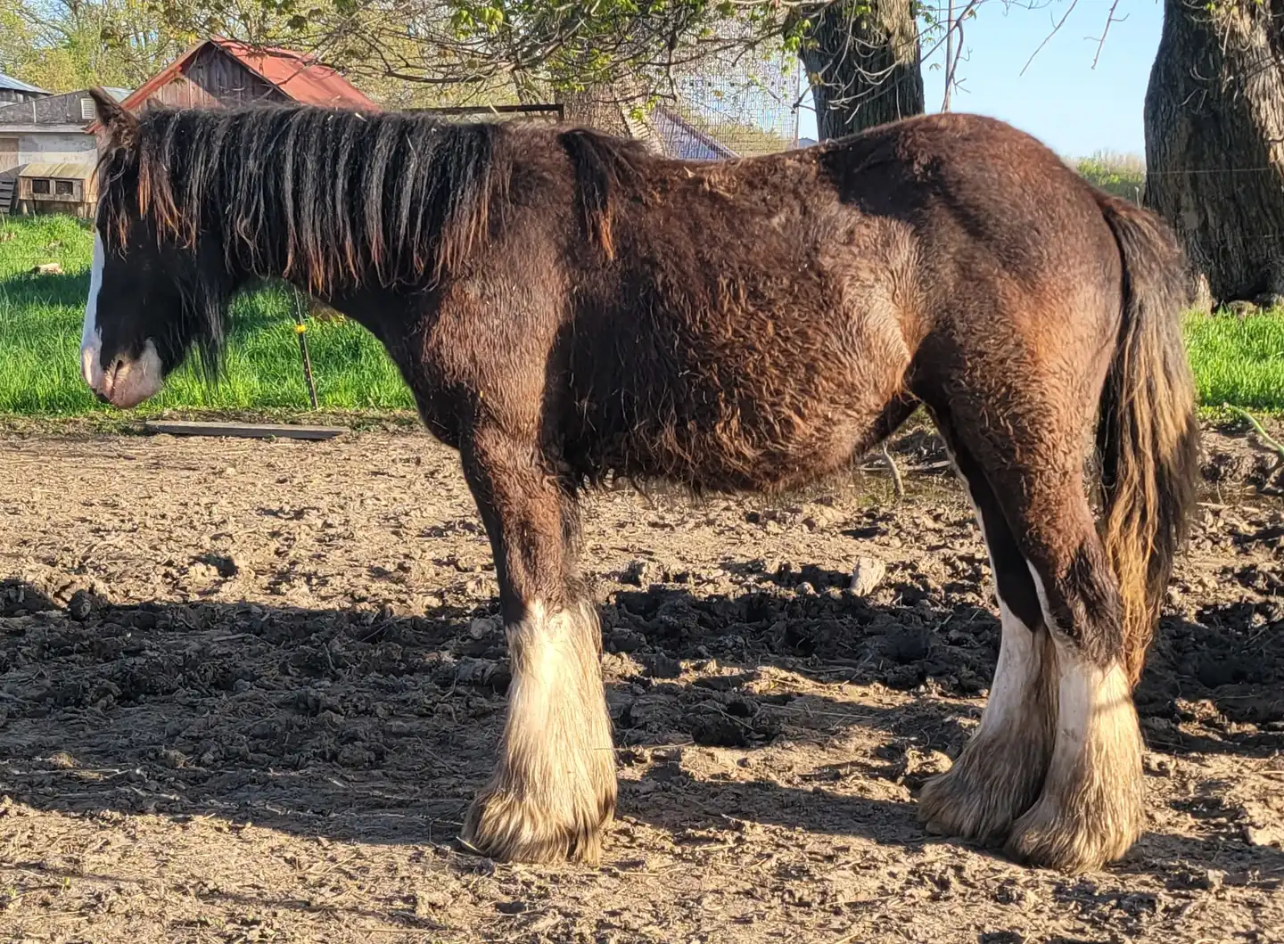 FTF In the Air Tonight - Media (Unknown)