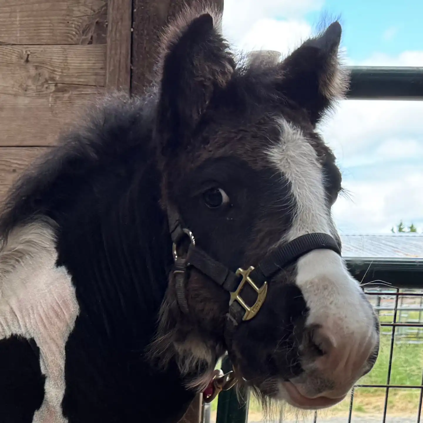 OMG Money Man - Media (Unknown)