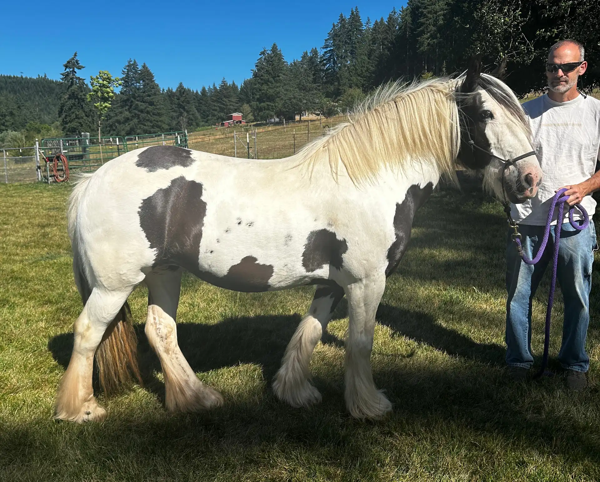 North Star Rose Royce - Media (Unknown)