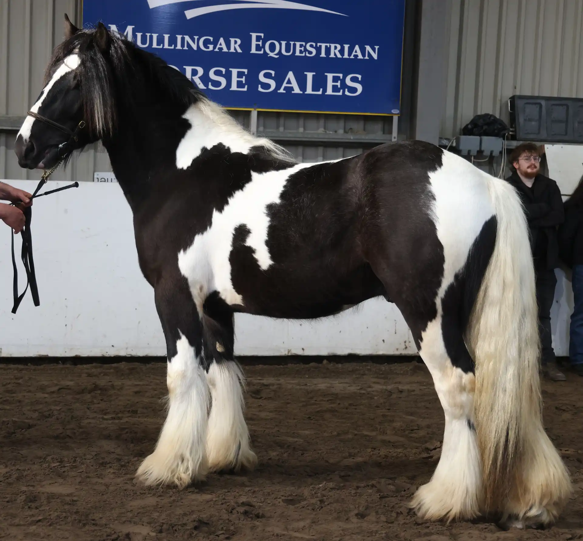 Cleggan Shotgun Mac, left side
