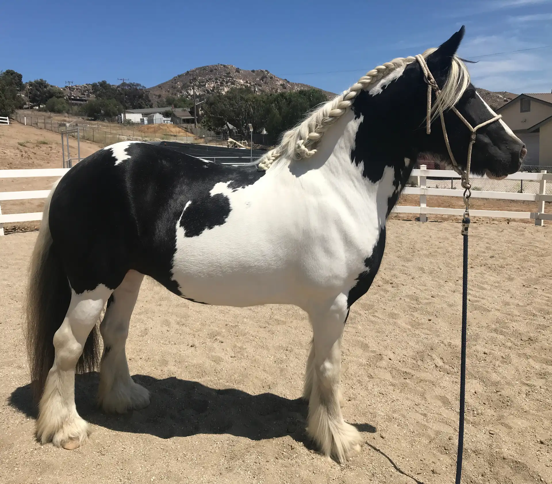 Kb Charlie Rose - Media (Unknown)