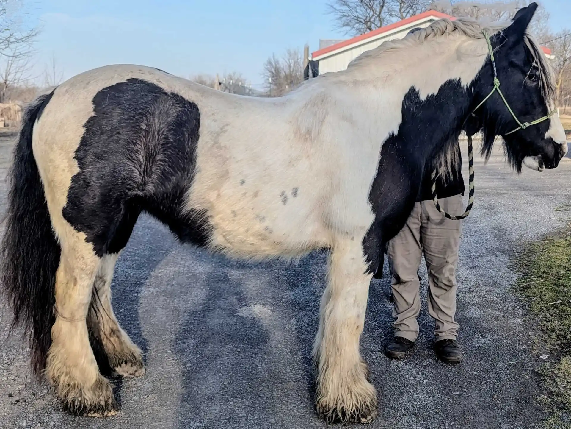 Lena - Media (Unknown)